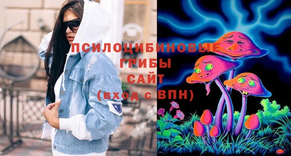 бошки Алзамай