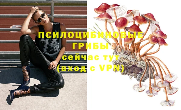 гашишное масло Алексеевка